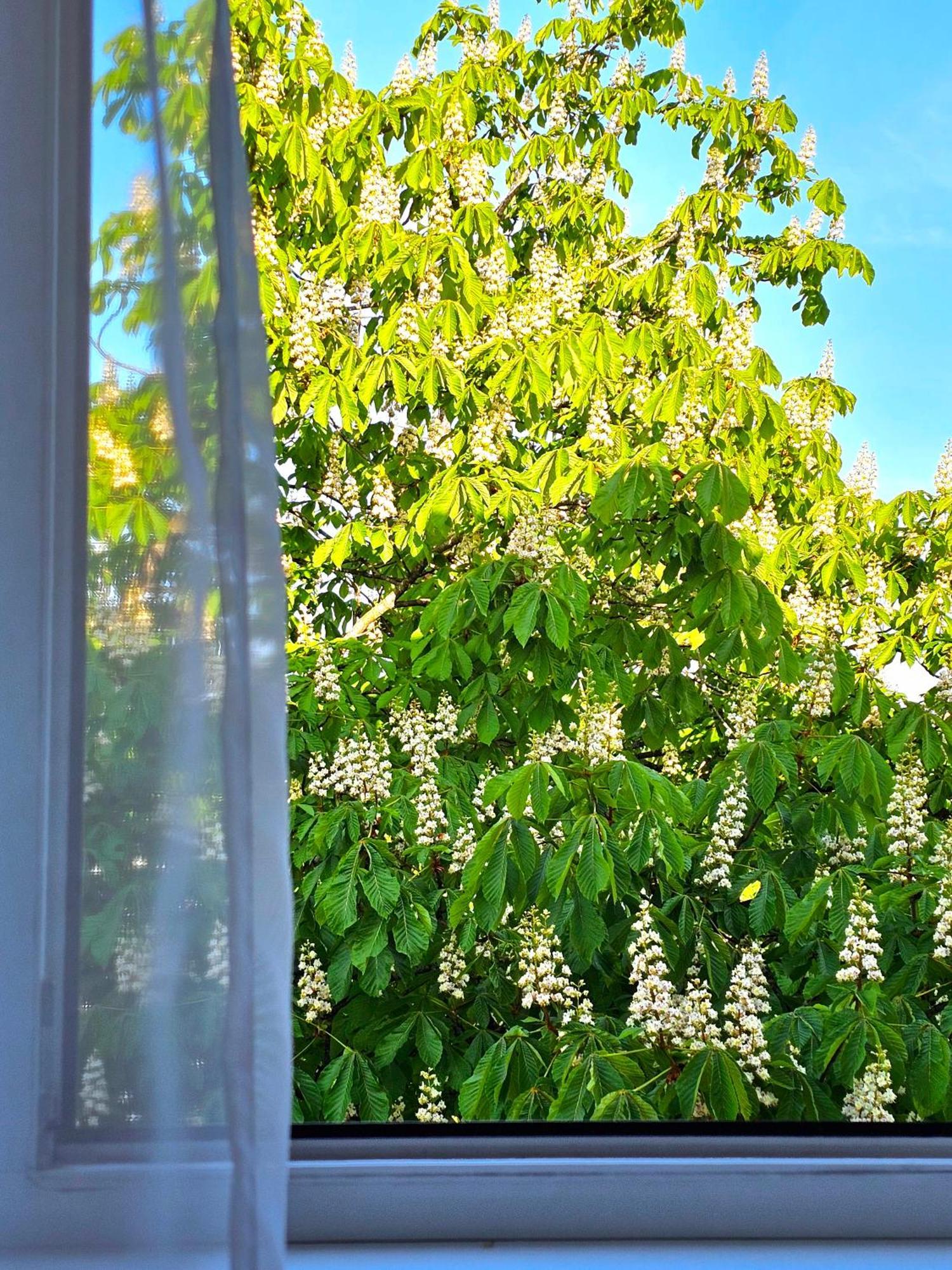 Apartamentai 76 Druskininkai Exteriér fotografie
